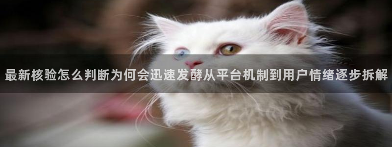 网络事件爆料