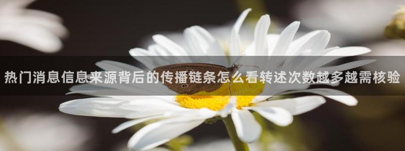 黑料爆料热门内容