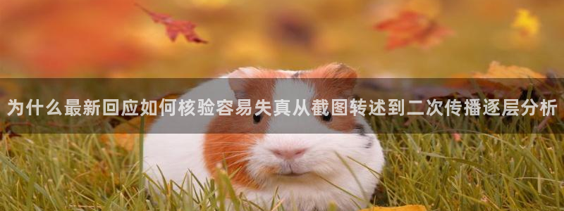 黑料热门事件