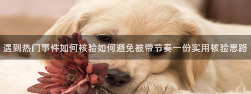 每日热点榜
