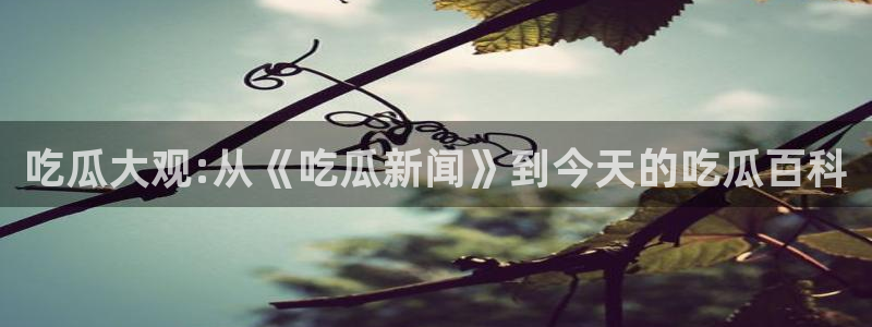 黑料爆料网页导航
