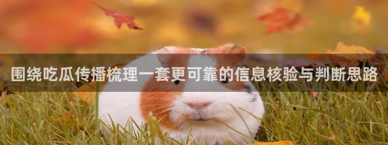 黑料爆料网络事件大全:围绕吃瓜传播梳理一套更可靠的信息核验与判断思路